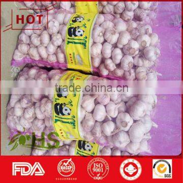 Fresh New Natural Organic Garlic Wholesale photo-3