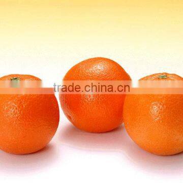 counting kind citrus orange Valanica Orange navel orange