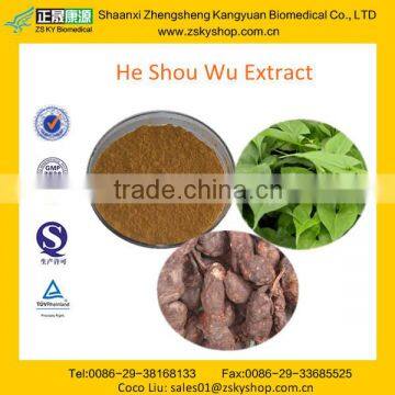 GMP manufacturer supply 100% Natural Fo-ti Extract/Radix polygoni mulitiflori extract powder