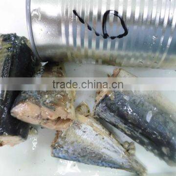 Canned Mackerel in brine