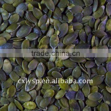 pumpkin seed kernels GWS A