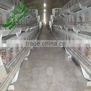 model poultry cages for layer chickens