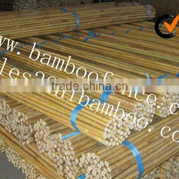 eco-friendly natural bamboo cane for sale