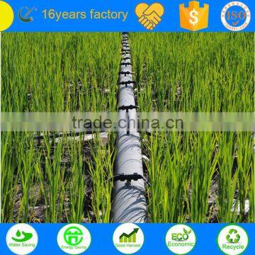 low price HDPE plastic pipe in standard length