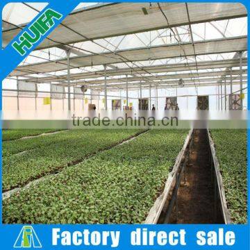 Lowest Price Greenhouse Growing Vegetable photo-6