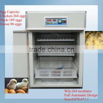 small chicken egg incubator hachery (264 eggs)