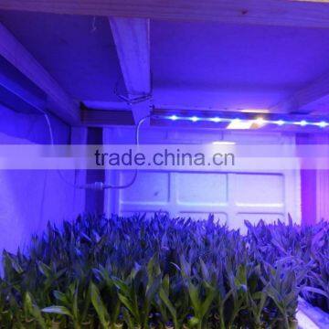 MarsHydro Marsii Led Grow Light 60 120cm Bar Full Spectrum Led Grow Light photo-2