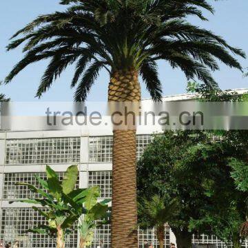 UV Proof Artificial Outdoor Palm Trees Hot Sale Artificial Plastic Palm Tree photo-3