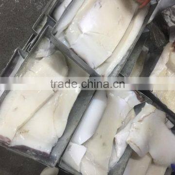 Frozen Peru Dosidicus Gigas Giant Squid Fillet photo-3
