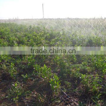 PE Soaker Hose / PE Sprinkler Hose With Wider Spay Range photo-5