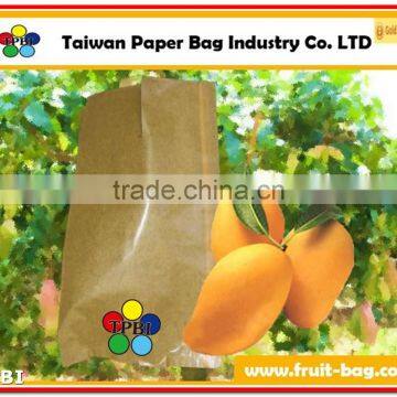 TPBI Mango Wrapping Paper Bag Mango Packing Bag Mango Paper Bag