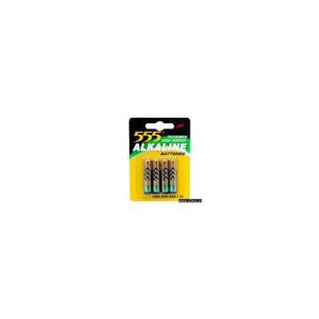 LR03 Alkaline Battery (Size AAA/UM-4)