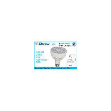 30W OSRAM LED PAR Flood Lights Replaced High Holida Light 70W