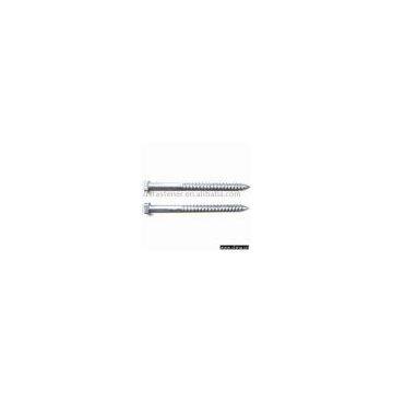 Square Head Nail Screw