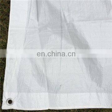 Light blue/white pe tarpaulin roll