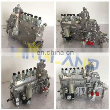 Diesel Engine 6DF(470) fuel injection pump 0445020102