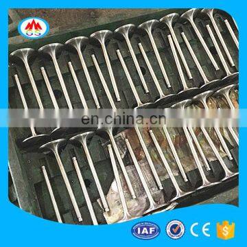 Car Spare Parts Chormed Engine Valves for Seat Leon Cupra 280 fr st photo-5