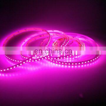 Dream color 5m 600leds color temperature pink smd 3528 led strip light