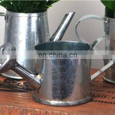 Galvanized Watering cans for small plant Decorative Silvery watering cans