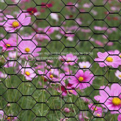 20mmx20mm PVC Coated Hexagonal Chicken Wire Mesh photo-3