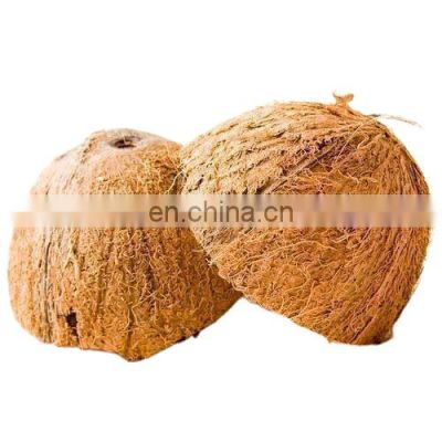 Wholesale Natural Coconut Shell Best Price/ Coconut Shell Raw