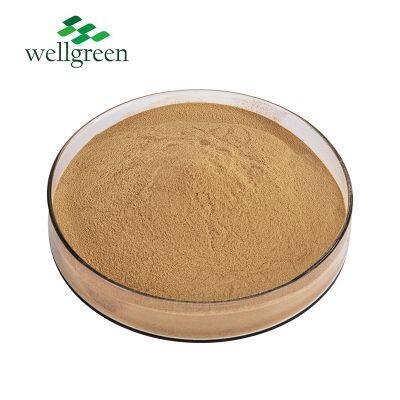 FREE SAMPLE Pure Ahcc Supplement Extract Bulk Shiitake Private Label Mycelia Shitake Mushroom Powder photo-2