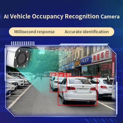 Motor vehicle occupation illegal parking identification road safety identification early warning system