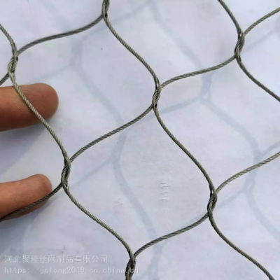 Hot Sale 316 Stainless Steel Woven Ferrule Webnet Wire Rope Mesh Net for Green Wall
