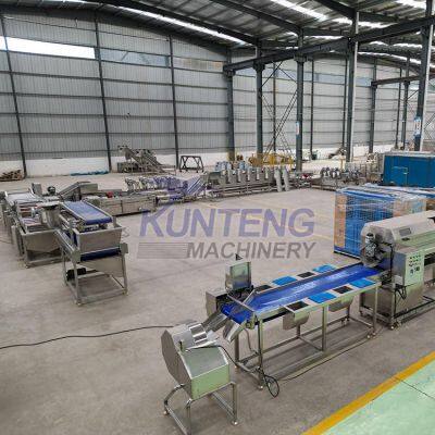 500 Kg/ h Fry Production Line Frozen French Fries Potato Production Line French Fries and Potato Chips Production Line photo-3