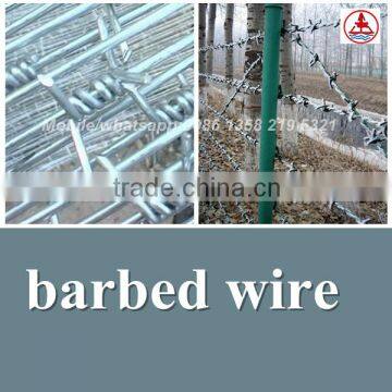 china anping factory hig quality galvanized barb wire