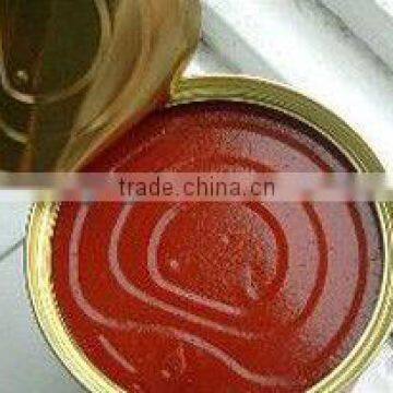 Customized Veries Galic Tomato sauce product