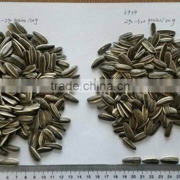 Sunflower seeds for human consumption