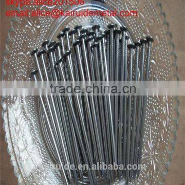 High Quality Factory Common Iron Wire Nail 1"used for Building Construction With photo-6