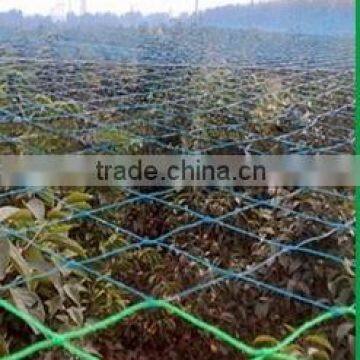 100% virgin HDPE Monofilament warp knitted bird mist nets