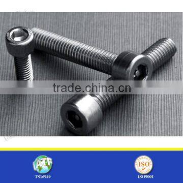 SS steel tamper proof head screw