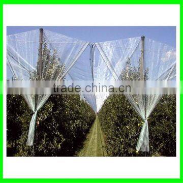 Anti Hail Net,hail Protection Net for Fruit Plantations Apple Tree photo-2