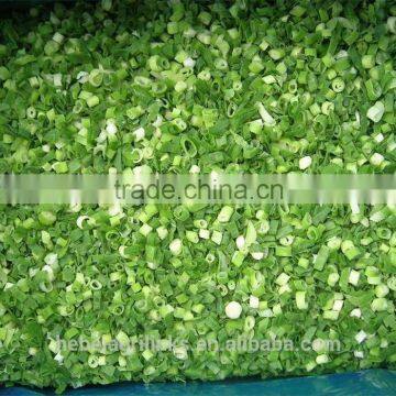 Frozen style green scallion 2015 new crop