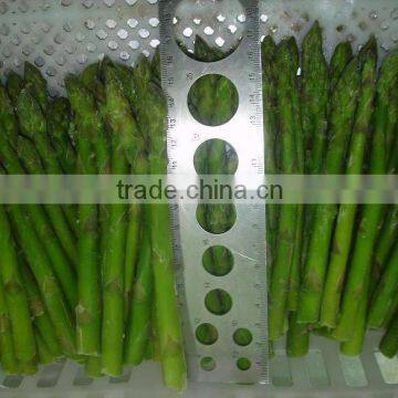 IQF Frozen Asparagus photo-3