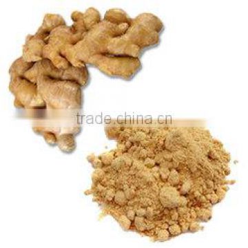 Dried Ginger Powder