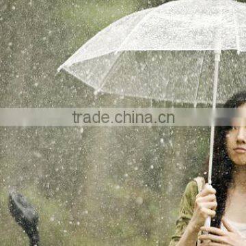 8k Transparent Poe Umbrella photo-5