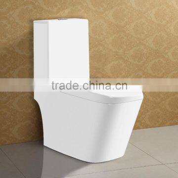 One Piece Ceramic Toilet WC