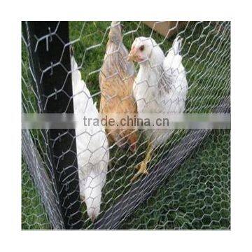 1/4",3/4" Cheap Chicken Wire, Rabbit wire Mesh, Galvanized Hexagonal Wire Mesh