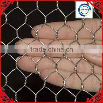 PVC Coated or Galvanized Hexagonal Wire Mesh from Anping Joinwe factory