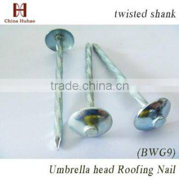 Hot sales! China factory supply high quality galvanized umbrella head roofing nails