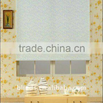 Manual Chain Operation Roller Blinds Window Coverings