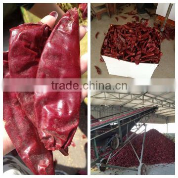 Dried , Red , Hot , Whole Pod, American Red