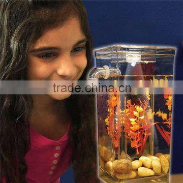 My Fun Fish Plastic Fish Tank Wholesale Portable Aquarium Tank Fish photo-4