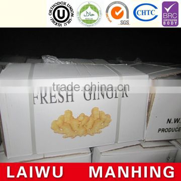 2016 Chinese Fresh ginger for hot selling