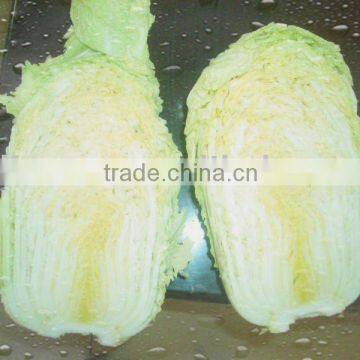 250g-300g fresh green nutrition cabbage