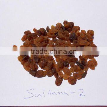 EXPORT QUALITY SULTANA RAISIN